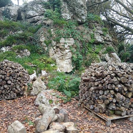Le Rocher du Samoyède Dirinon Exterior foto