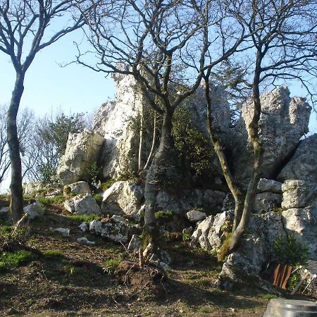 Le Rocher du Samoyède Dirinon Exterior foto
